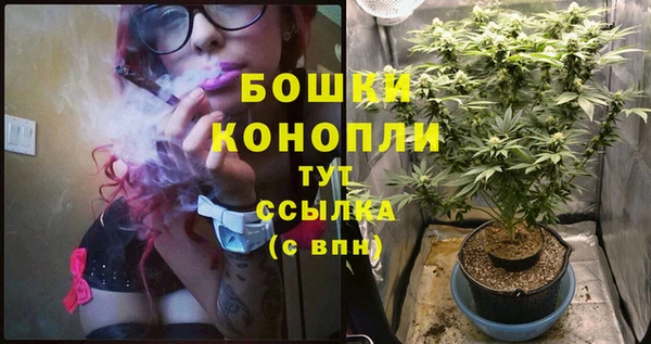 сатива Белая Холуница