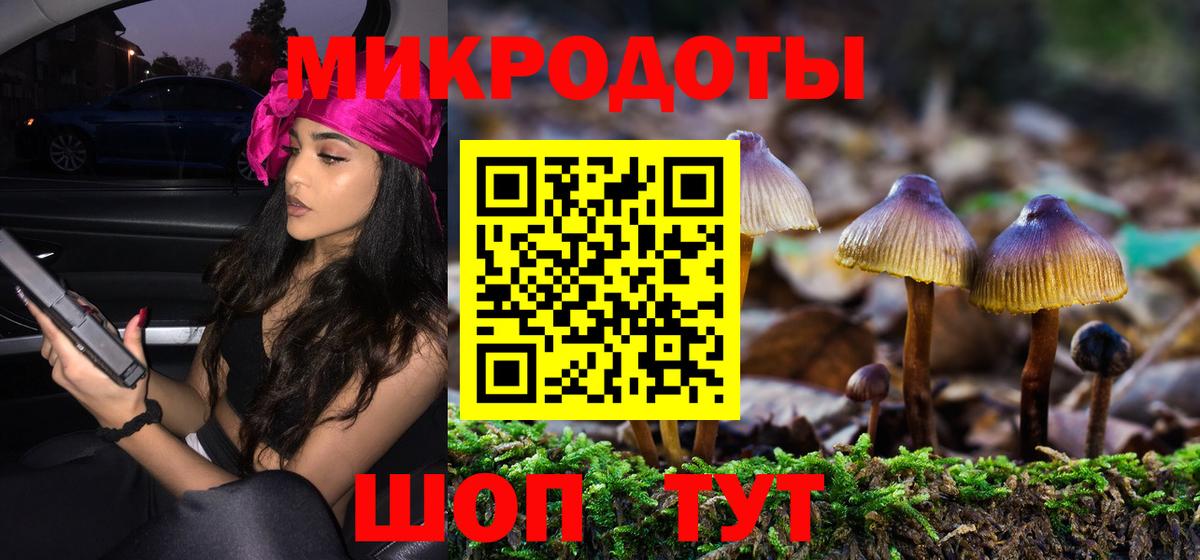 Псилоцибиновые грибы Psilocybe Соликамск