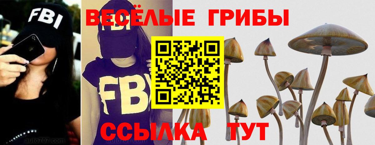 Галлюциногенные грибы Magic Shrooms  Вход с VPN  Соликамск  Галлюциногенные грибы Psilocybine cubensis 
